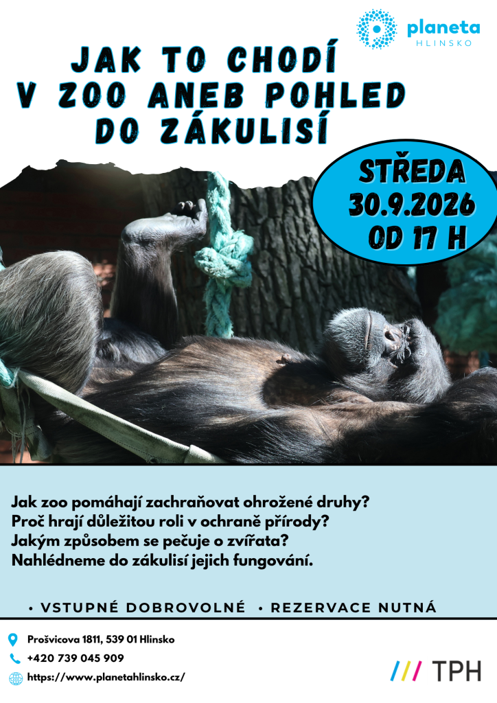 zoo